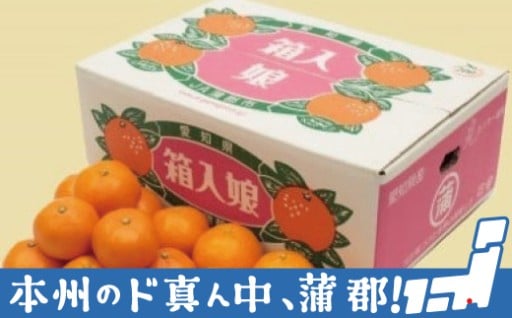 本日で締め切り!蒲郡みかん 箱入娘・おてんば娘