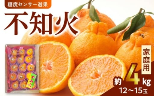 \✨先行予約受付中✨/宇土市産の🍊不知火(しらぬい)🍊