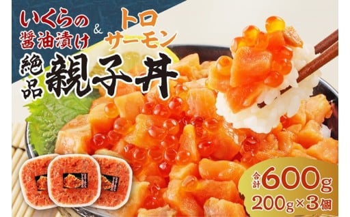 【北海道札幌市】トロサーモンといくらの親子丼セット🐟🔴