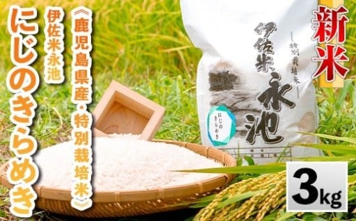 《数量限定》令和7年産 新米 特別栽培米 伊佐米永池 にじのきらめき(3kg)