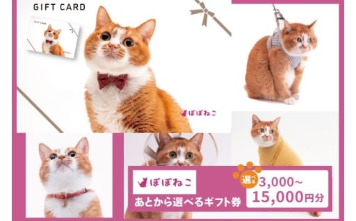 ぽぽねこ公式オンラインショップで使えるギフト券