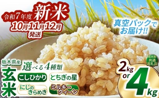 いちご農家さん応援米!令和7年度新米 玄米真空パック 選べる 銘柄 約2kg~4kg