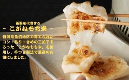 【リピーター続出！】最高級のもち米品種「こがねもち」を使った魚沼産の切り餅