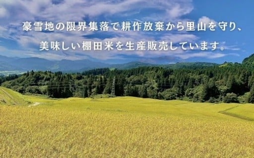 【9年連続で残留農薬なし！】自信を持ってお届けする安心・安全な棚田米、魚沼産コシヒカリ（佐藤農場）