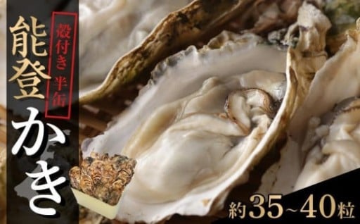 【石川県七尾市】山口水産の能登かき 殻付き半缶（約35～40粒）