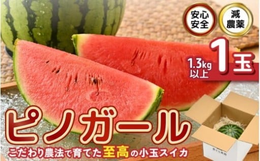 【減農薬🍉】こだわり農法で育てた至高の小玉スイカ