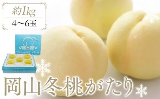 岡山冬桃がたり 約1.0kg (4～6玉)