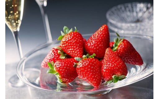 伊豆の国市の「いちご」を楽しもう！