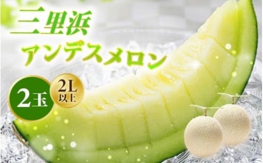 【数量限定】在庫限りの値下げ中！果汁たっぷり🍈✨