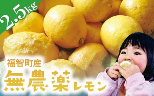 【🍋福智町産 無農薬レモン★今年も受付開始！🍋】