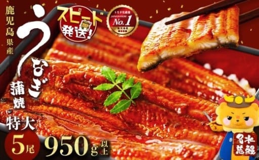 【10営業日以内に発送】鹿児島県産うなぎ蒲焼 名水慈鰻 特大5尾(1尾190g以上)＜計950g以上＞