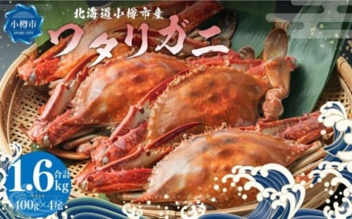 北海道 小樽市産 ワタリガニ 1.6kg （400g×4尾） 