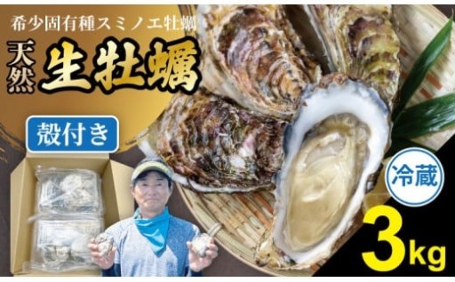 有明海で獲れた天然牡蠣を冷蔵便にてお届け！