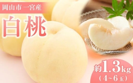 桃 2026年 ご家庭用 岡山市一宮産 白桃（早生、中生種）約1.3kg 4～6玉 犬塚農園