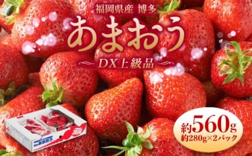 福岡県産 博多あまおう DX上級品 約560g（約280g×2パック入り）