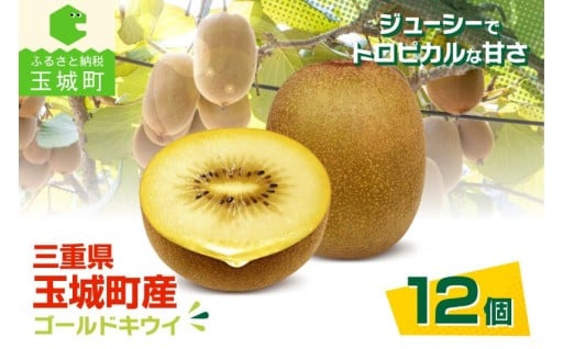 三重県玉城町産ゴールドキウイ