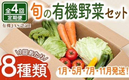 コトコトファーム 旬の有機栽培野菜セット 全4回 定期便