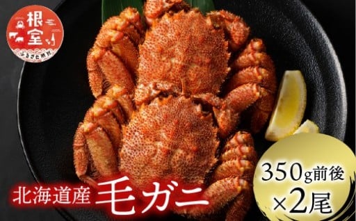 毛ガニを2尾セットでお届け！