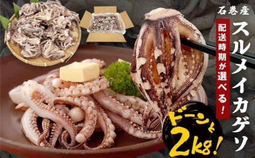 🦑  ＜配送月が選べる＞ 石巻産 スルメイカゲソ ２kg 🦑