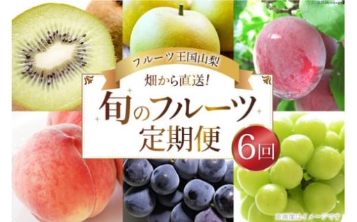 【先行受付】【6回定期便】 フルーツ王国 山梨県産 6種セット