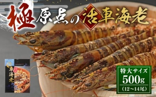 【配送日指定品】「極」原点の車海老 500g （12～14尾）