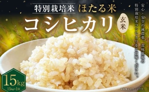 【令和7年度産】 ほたる米 コシヒカリ 玄米 15kg