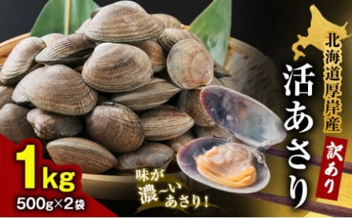 北海道 厚岸産 訳あり 活あさり 500g×2 (合計1kg) 
