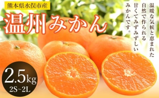 温州みかん 約2.5kg 2S～2L