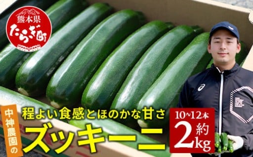 中神農園の ズッキーニ 約2kg (10～12本)