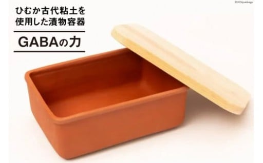 漬け土器　GABAの力