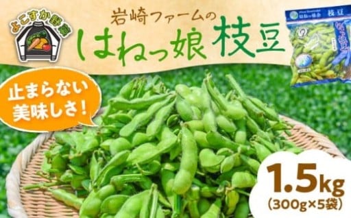 【先行予約】幻の枝豆「あまおとめ」農家直送でお届けします