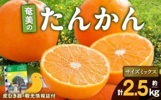 2026年先行予約★奄美のたんかん🍊 サイズミックス2.5kg（皮むき器・観光情報誌付)