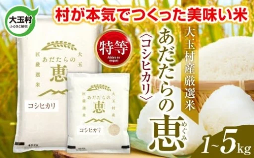 大玉村産厳選米「あだたらの恵」特等（品種：コシヒカリ）