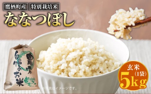 【令和7年産】 ななつぼし （玄米） 5kg