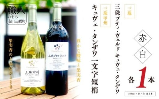 ワイン 赤白 セット 山梨 750ml 
