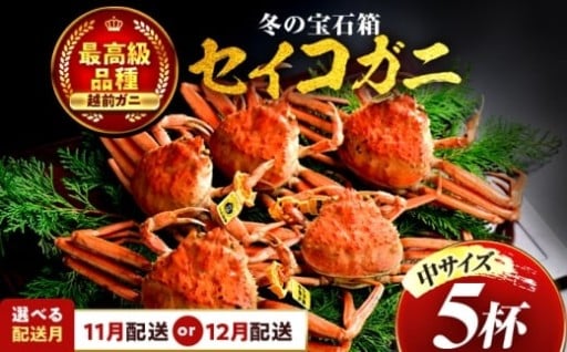 ＼冬だけの贅沢、内子と外子の至福／セイコガニ（ズワイガニのメス）中サイズ 5杯