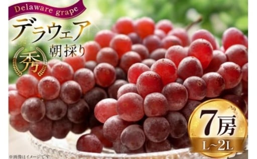 朝採りの甘さをそのまま発送します！