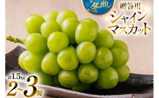 【期間限定発送】冬出し 贈答用シャインマスカット