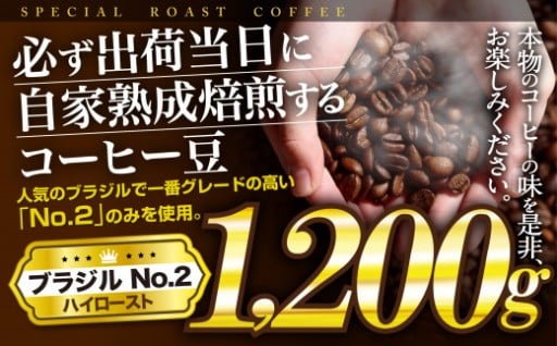  【必ず出荷日に自家熟成焙煎】コーヒー豆 ブラジルNo.2 (1,200g) 