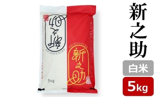 【令和7年産新米】新之助 白米 5kg 