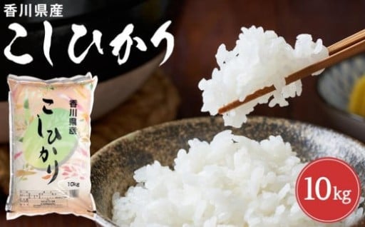 令和7年度　新米　香川県産コシヒカリ10kg