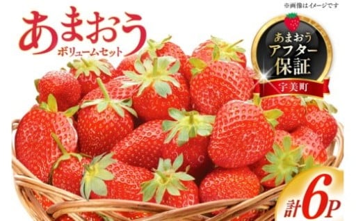 大粒で甘みと酸味のバランスが絶妙です！