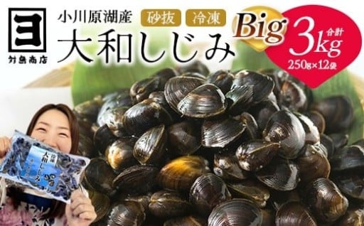 砂抜き済！冷凍・小川原湖産大和しじみ BIG3kg