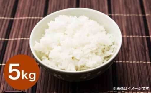 令和7年産 大分県産米 精米 5kg✕1袋