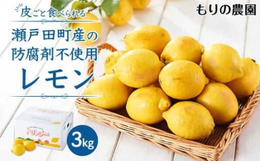 【レモン島から贈る】安心の国産レモン3kg 2026年1月15日より順次発送