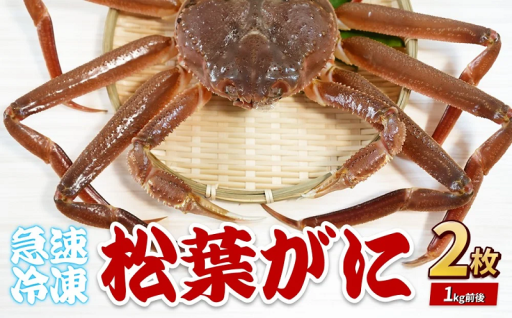 【プロトン凍結】日本海の味覚の王者「松葉がに」