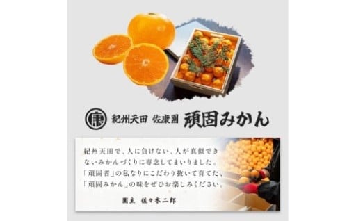🌻和歌山県天田のこだわり頑固みかん 10㎏☀️