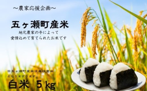 令和7年産 新米 五ヶ瀬町産米 こしひかり 5kg