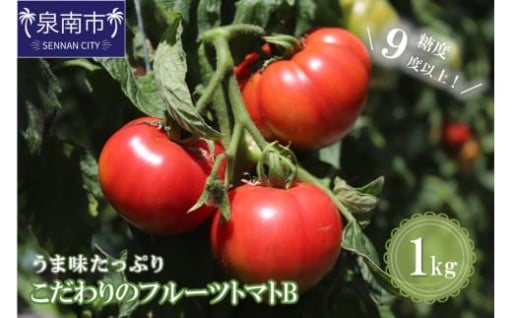 【大阪府泉南市】 うま味たっぷり😄フルーツトマト🍅