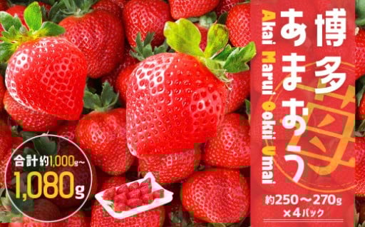 JAふくおか嘉穂 博多あまおう 【2箱（250g～270g×4パック）】 